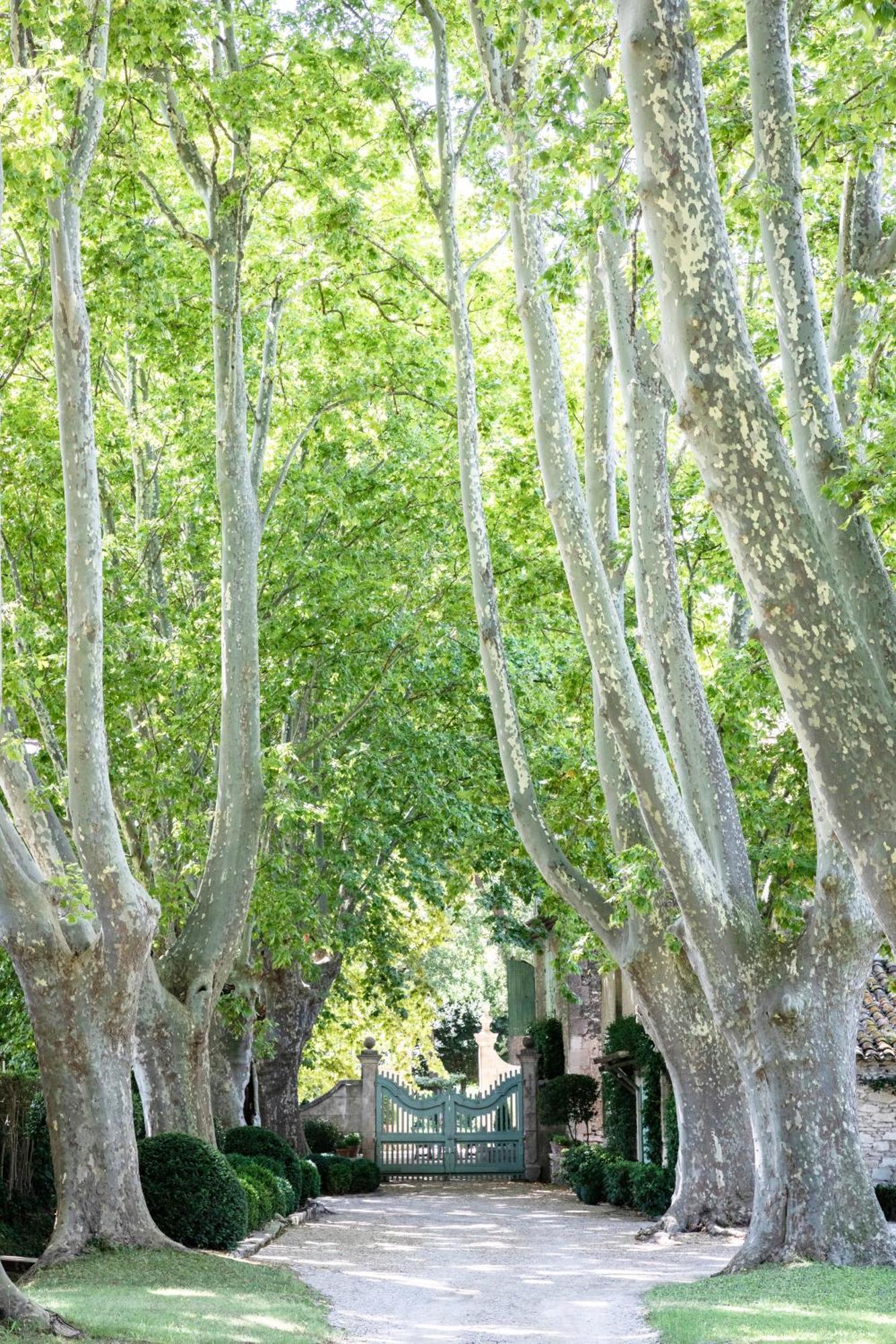 Saint-Rémy-de-Provence Domaine De Chalamon B&B 외부 사진